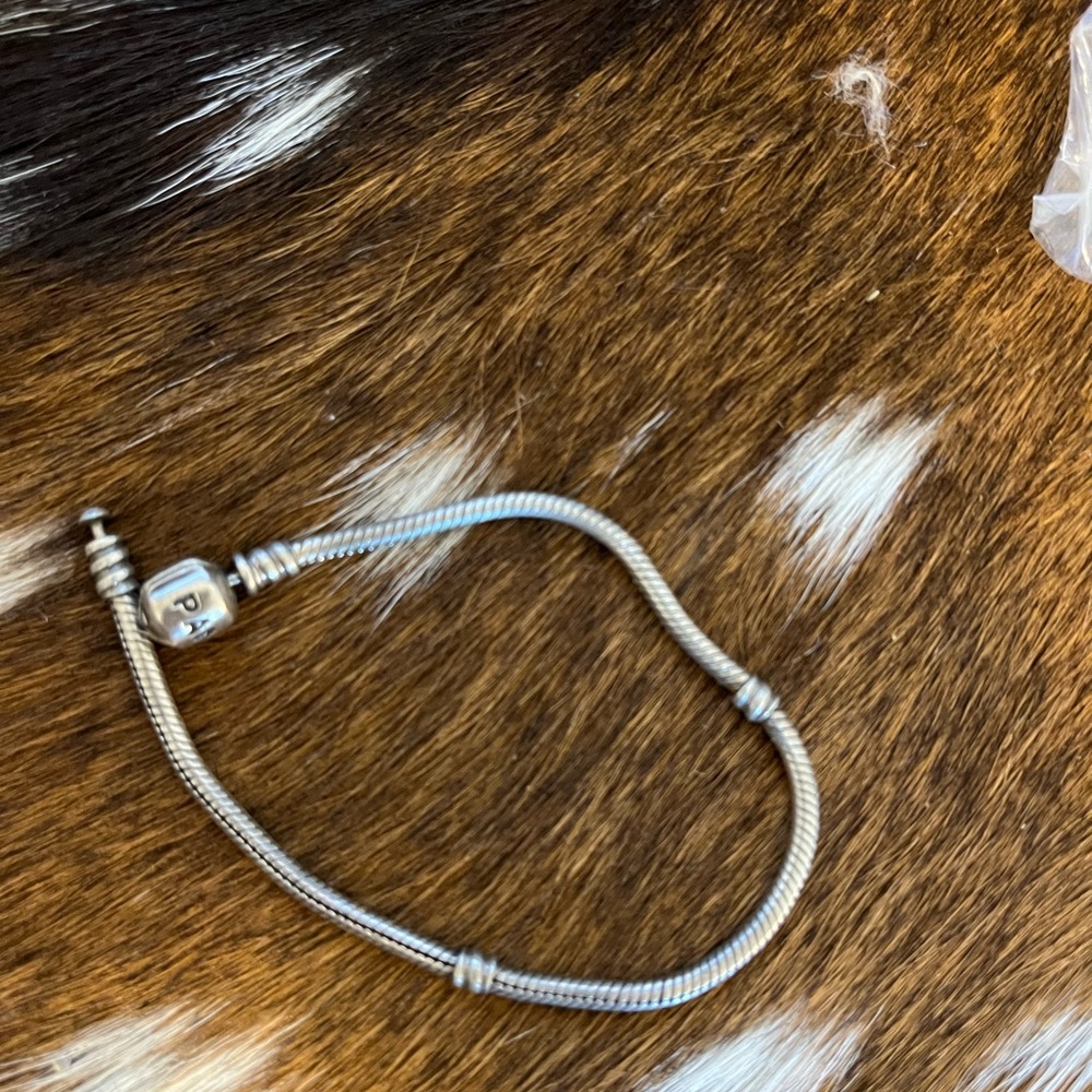 Pandora Silver Charm Bracelet